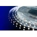 Светодиодная лента DesignLed DSG560-12-W-33 000513