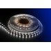 Светодиодная лента DesignLed DSG260-12-NW-33 001491