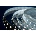Светодиодная лента DesignLed DSG560-24-W-33 000520