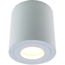 Потолочный светильник Divinare Galopin 1460/03 PL-1