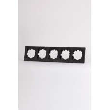 Рамка пятиместная ELBI Vega 510-014800-250