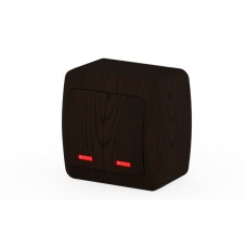 Выключатель двухклавишный с подсветкой ELBI Alsu 504-010400-203