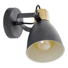 Спот Eglo Coswarth 901174