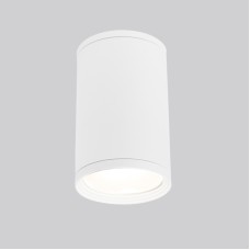 Уличный потолочный светильник Elektrostandard Light 4690389175893