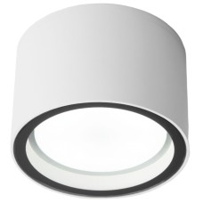 Уличный потолочный светильник Elektrostandard Light 4690389180828