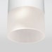 Уличный потолочный светильник Elektrostandard Light LED 4690389177927