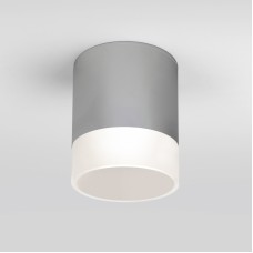 Уличный потолочный светильник Elektrostandard Light LED 4690389177965