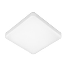 Потолочный светильник Elektrostandard DLS043 10W 4200K a047941