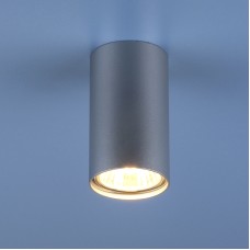 Потолочный светильник Elektrostandard 1081 5257 GU10 SL серебро 4690389104381