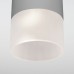 Уличный потолочный светильник Elektrostandard Light LED 4690389177934