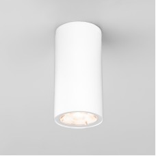 Уличный потолочный светильник Elektrostandard Light LED 4690389176555