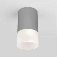 Уличный потолочный светильник Elektrostandard Light LED 4690389177934