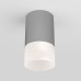 Уличный потолочный светильник Elektrostandard Light LED 4690389177934
