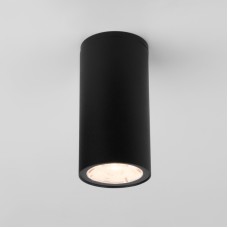 Уличный потолочный светильник Elektrostandard Light LED 4690389176562