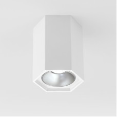 Накладной светодиодный светильник Elektrostandard 25036/LED 4690389176487