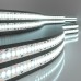 Светодиодная лента Elektrostandard 12V 24W 240Led 2835 IP20 холодный белый, 5м 4690389151651