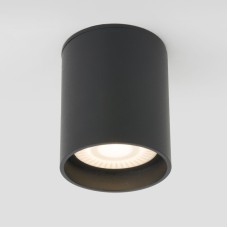 Уличный потолочный светильник Elektrostandard Light LED 4690389176968