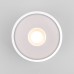 Уличный потолочный светильник Elektrostandard Light LED 4690389180132
