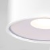 Уличный потолочный светильник Elektrostandard Light LED 4690389180132