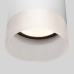 Уличный потолочный светильник Elektrostandard Light LED 4690389177958