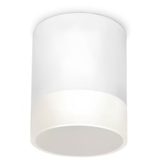 Уличный потолочный светильник Elektrostandard Light LED 4690389177958