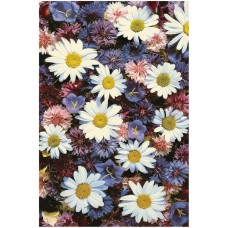 Ковер интерьерный (200x300 см) Hunnu