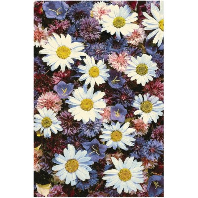 Ковер интерьерный (200x300 см) Hunnu