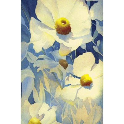 Ковер интерьерный (200x300 см) Hunnu