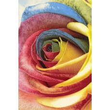 Ковер интерьерный (200x300 см) Hunnu