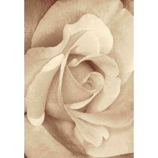 Ковер интерьерный (240x350 см) Hunnu Relief