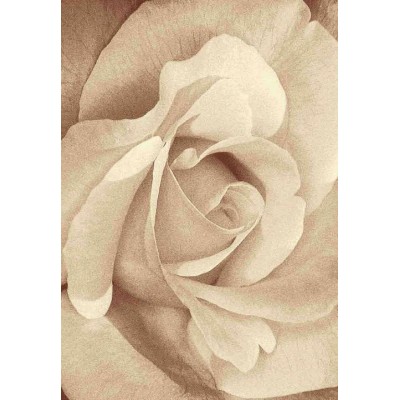 Ковер интерьерный (240x350 см) Hunnu Relief