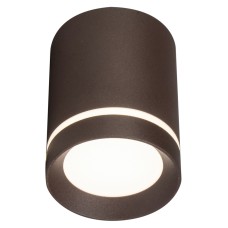 Потолочный светильник 20009 20009SMU/01LED CF