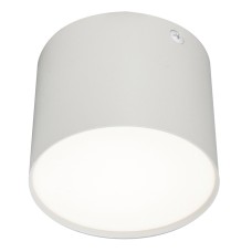 Потолочный светильник 20004 20004SMU/01LED SWH
