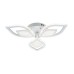 Потолочная люстра Escada Anise 10288/6LED