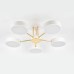 Потолочная люстра Escada Rune 10262/5LED