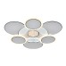 Потолочная люстра Escada Dune 10277/6LED
