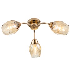 Потолочный светильник Escada Allium 663/3P