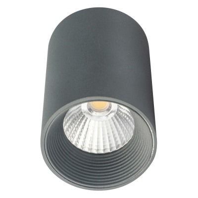 Накладной светильник Escada 20003 20003SMU/01LED SGY