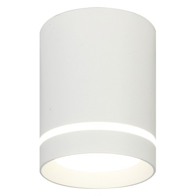 Накладной светильник Escada 20009 20009SMU/01LED SWH