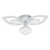 Потолочная люстра Escada Anise 10288/6LED
