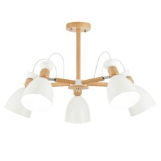 Потолочный светильник EVOLUCE BALCAMO SLE103802-05
