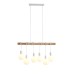 Подвесной светильник EVOLUCE BAGETTI SL1142.503.06