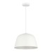 Подвесной светильник Evoluce Blank SLE1805-503-01
