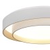Потолочный светильник Evoluce Crosby SLE6009-502-01