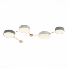 Потолочный светильник Evoluce Dossena SLE600102-04