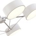 Потолочный светильник Evoluce Valle SLE6005-502-05