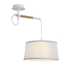 Настенно-потолочный светильник F-Promo Eureka 3005-1P