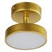 Светильник на штанге F-promo Atma 3059-1P