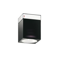 Настенный/Потолочный светильник Fabbian D28G8900