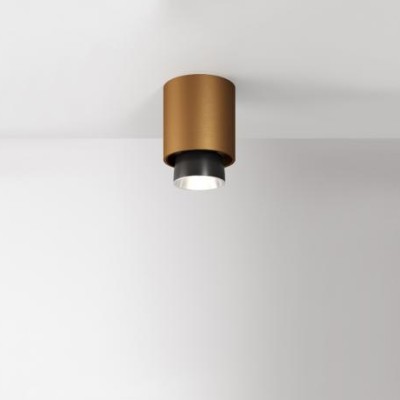 Потолочный светильник Fabbian Claque S bronze